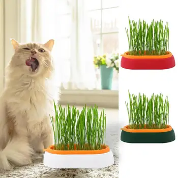 Коробка для плантатора с травой для домашних кошек, Гидропонный горшок для выращивания растений из кошачьей травы, не содержащий почвы, Кошачьи закуски для проращивания, Горшок для выращивания в питомнике, коробка для выращивания