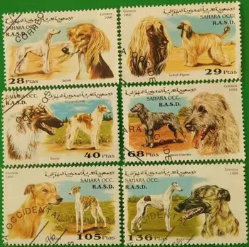 6 ШТ., почтовая марка Сахары, 1996, Марки для собак, Клеймо животного, Коллекция марок, используется с почтовой маркой